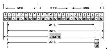 24孔口琴教学视频,跟随视频轻松掌握演奏技巧