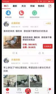 搜鸽教育视频播放-2,深入解析鸽类养殖与训练技巧