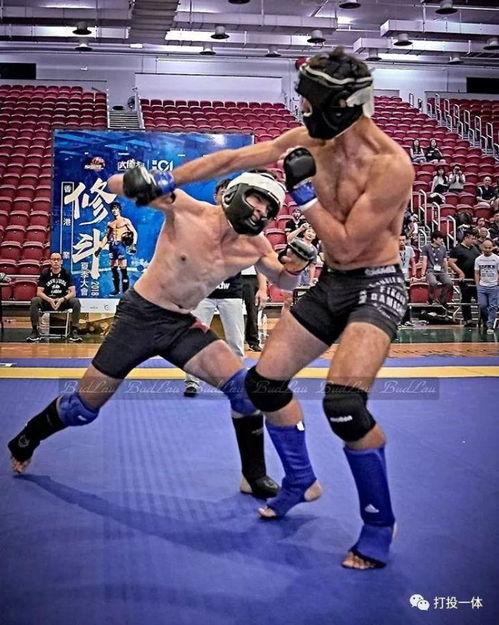 修斗视频,精彩瞬间回顾，热血沸腾的竞技对决