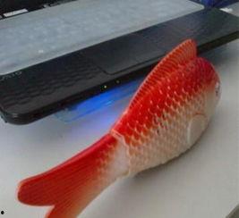 电动鱼视频,揭秘未来水下智能生物的神奇魅力