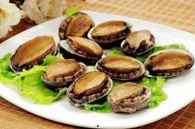 鲍鱼微视频,探寻海洋珍馐背后的故事