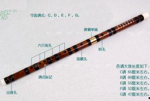 笛子12个技巧教学视频,视频教程全面解析