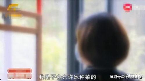 女人被叉叉视频,揭秘网络暴力下的女性受害者