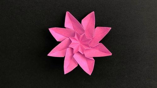 花的折纸视频,从零开始，轻松制作美丽花朵