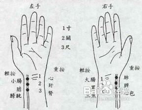 脉象视频,揭秘中医诊断的神奇奥秘