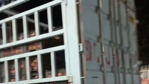 河南收费站视频