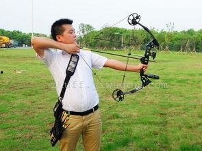 弹弓打猎视频大全,视频大全中的狩猎智慧与技巧