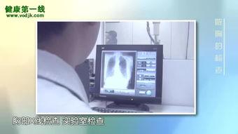 检查奶视频,探寻优质奶源背后的秘密