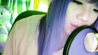 苏仨的禁歌小蛮腰视频,挑战尺度，探讨音乐与自由的边界