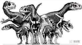恐龙介绍视频,穿越时空的史前巨兽传奇