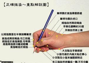 正确的握笔方法视频