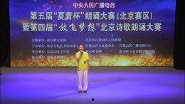 现代诗歌朗诵视频,韵律与情感的交织之旅